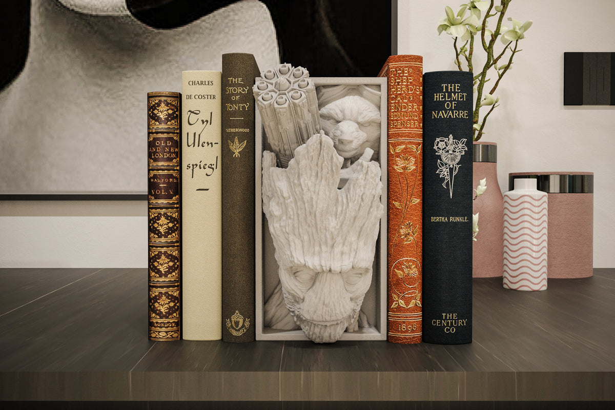 Book Nook Baumwesen und Weltraum Waschbär Fantasy Bücherregal Deko als Shelf Insert oder Wanddeko Geschenk für Leser