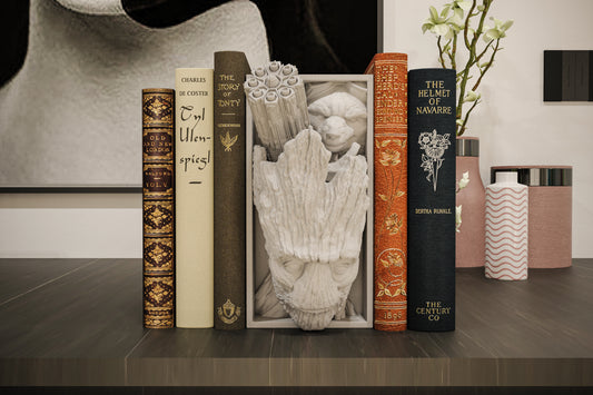 Book Nook Baumwesen und Weltraum Waschbär Fantasy Bücherregal Deko als Shelf Insert oder Wanddeko Geschenk für Leser
