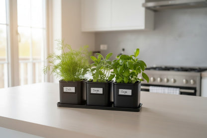 Kräutertopf Set mit Untersetzer, 3 Pflanztöpfe für Küche & Fensterbank