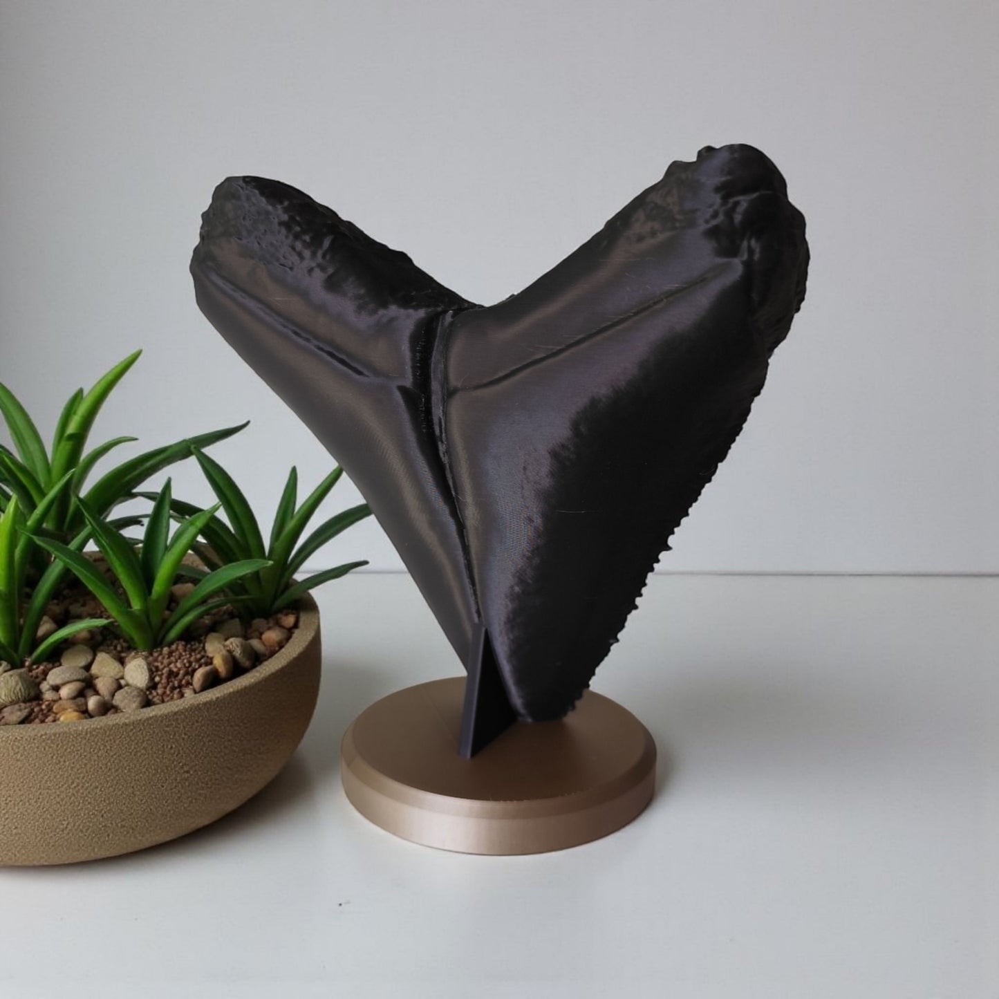 Megalodon Tooth Fossil – Realistische Deko-Skulptur auf Standfuß