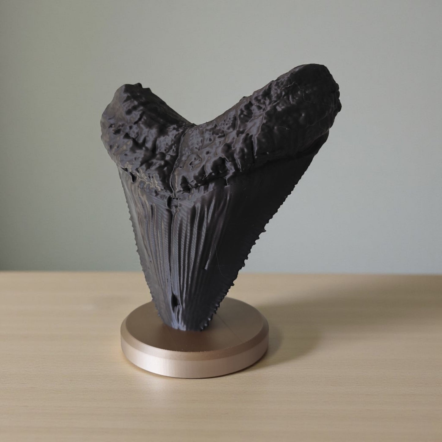 Megalodon Tooth Fossil – Realistische Deko-Skulptur auf Standfuß
