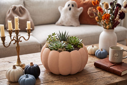 Kürbis Übertopf für Sukkulenten herbstliches Pflanzgefäß als gemütliche Herbstdeko für Wohnzimmer und Geschenkidee