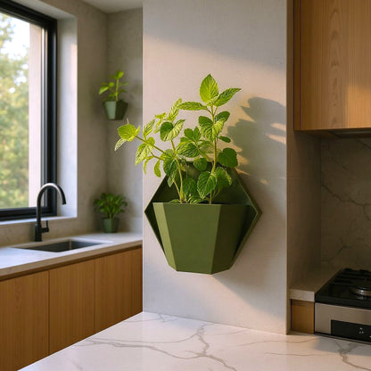Geometric Wall Planter – 3D-gedruckter Wandpflanzer für Kräuter & Zimmerpflanzen
